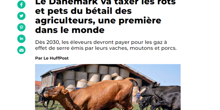 Première mondiale : le Danemark va taxer les rots et pets du bétail des agriculteurs !