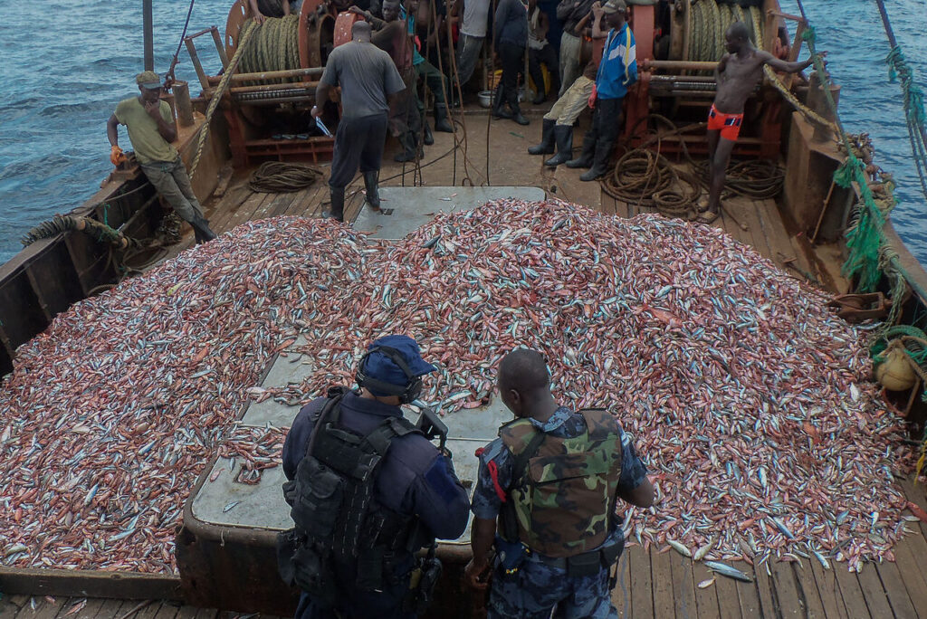 Pillages : les mers africaines vidées par la Chine et l'Europe