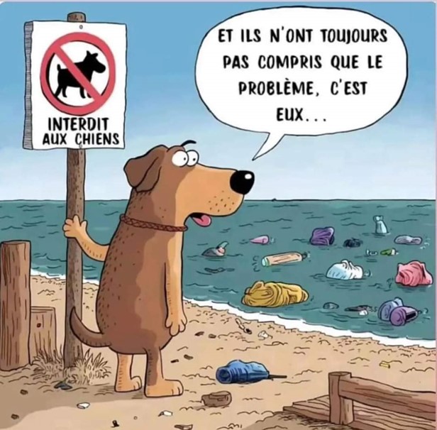 Le problème c'est eux