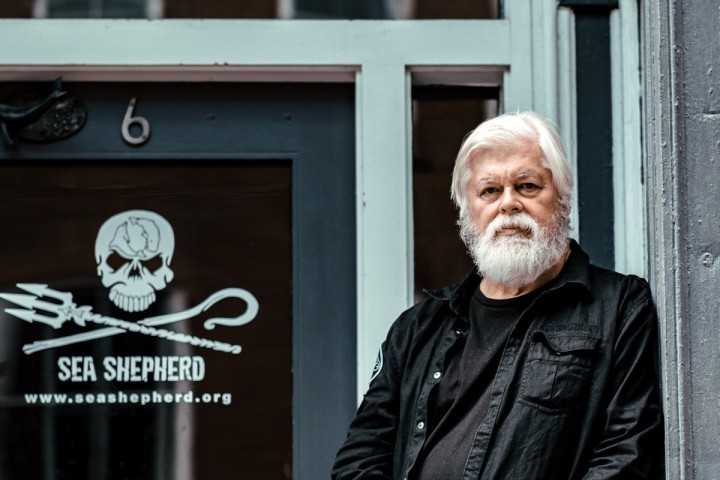 Sea Shepherd : Paul Watson demande l'asile politique à la France