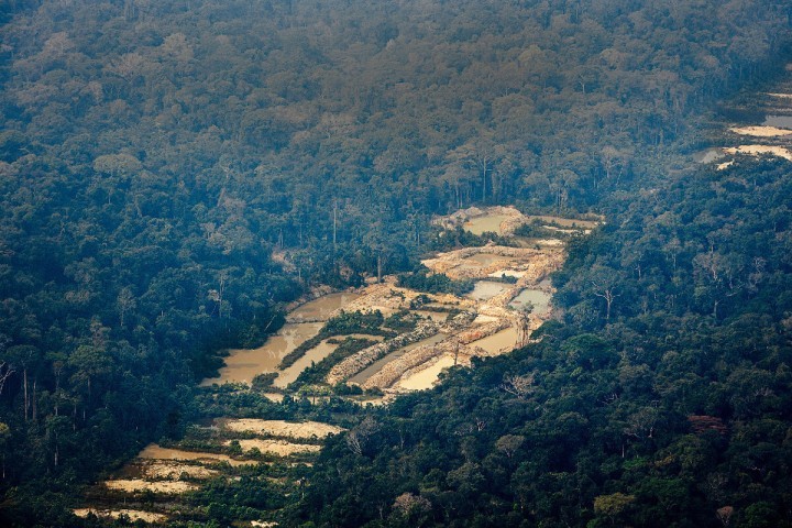 La loi anti-déforestation repoussée d'un an par l'Europe